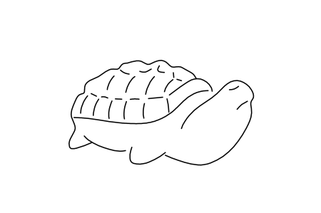 Accarezzare la tartaruga di pietra, colorare la sabbia