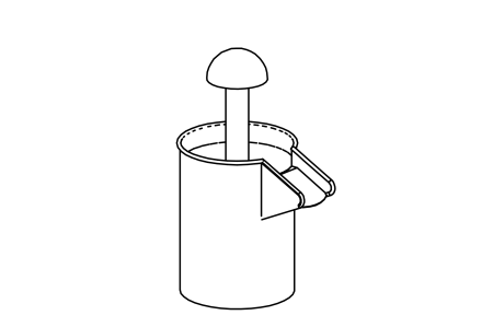 Mushroom Spring