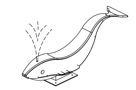 Piccola balena