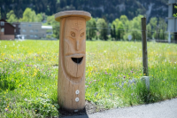 Touch stele (oak trunk with face)
