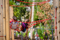 Climbing forest - design example 02, red
