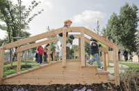 Life Path: Steps/Ramp