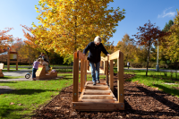 Chemin de vie: chemin en bois avec des rondins
