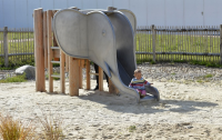 Piccolo elefante con scivolo per la proboscide