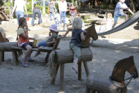 Le cheval d&amp;#39;indien