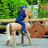 Le cheval d&amp;#39;indien