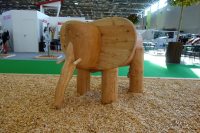 Baby Elephant