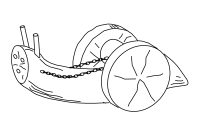 Schnecke