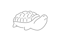 Tortue &amp;#224; cajoler sable