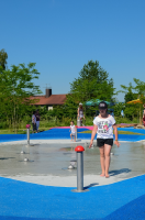 Wasserdruckknopf mit Installationsschacht, programmierbare Sp&amp;#252;lvorrichtung 