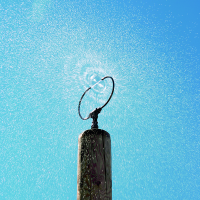 High Collision Disc for forest fountain made of larch