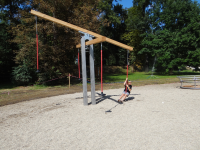 Cross Scales with steel posts