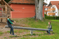 See-saw with shock absorbers