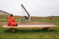 Tractor Tyre Swing