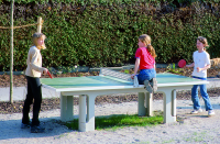 Table Tennis Table with net