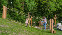 Hangsteiger Einzelelement
